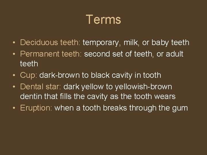 Terms • Deciduous teeth: temporary, milk, or baby teeth • Permanent teeth: second set