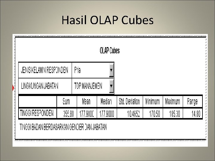 Hasil OLAP Cubes 