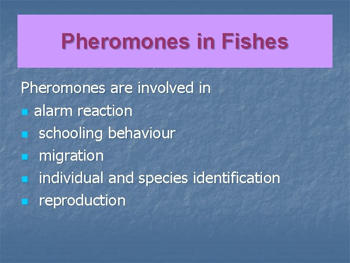 Pheromones in Fishes Pheromones are involved in n alarm reaction n schooling behaviour n