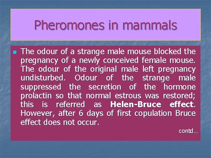 Pheromones in mammals n The odour of a strange male mouse blocked the pregnancy