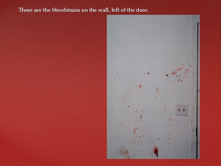 These are the bloodstains on the wall, left of the door. 