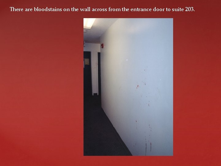 There are bloodstains on the wall across from the entrance door to suite 203.
