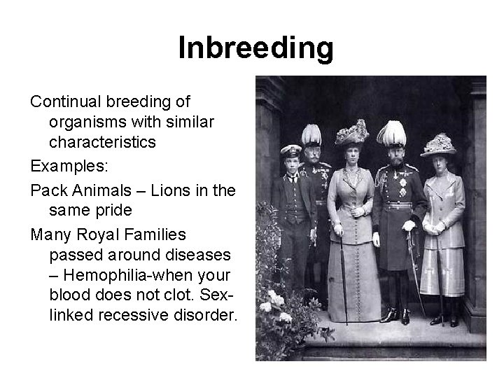 Inbreeding Continual breeding of organisms with similar characteristics Examples: Pack Animals – Lions in