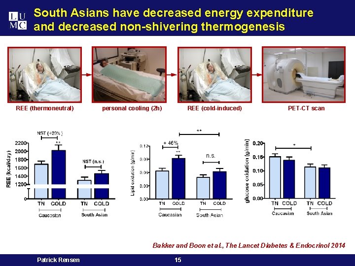 South Asians have decreased energy expenditure and decreased non-shivering thermogenesis REE (thermoneutral) personal cooling