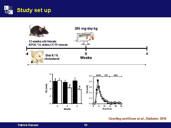 Study set up 250 mg/day/kg 12 -weeks-old female APOE*3 -Leiden. CETP mouse * Patrick