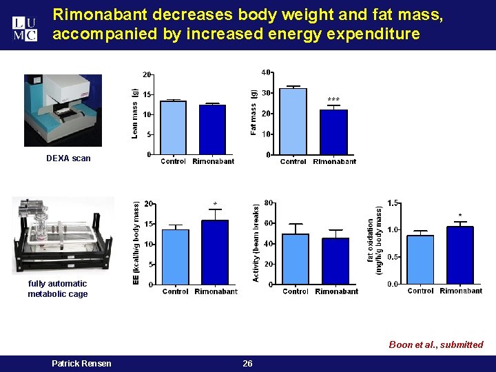 Rimonabant decreases body weight and fat mass, accompanied by increased energy expenditure DEXA scan