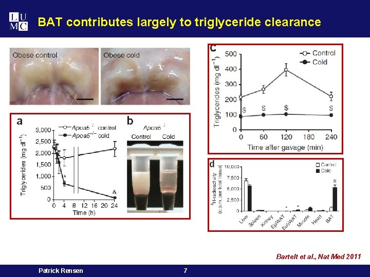 BAT contributes largely to triglyceride clearance Bartelt et al. , Nat Med 2011 Patrick