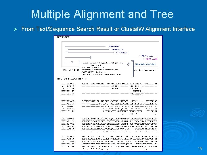 Multiple Alignment and Tree Ø From Text/Sequence Search Result or Clustal. W Alignment Interface