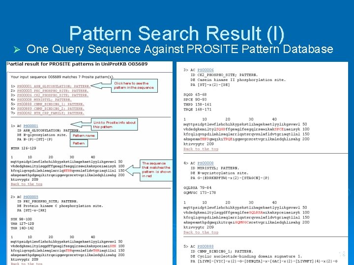 Ø Pattern Search Result (I) One Query Sequence Against PROSITE Pattern Database 19 