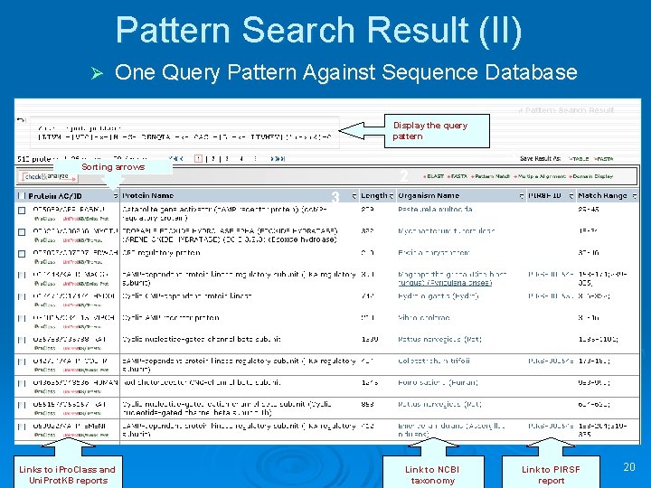 Pattern Search Result (II) Ø One Query Pattern Against Sequence Database Display the query