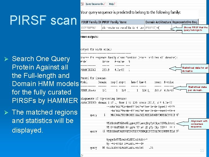 1 PIRSF scan Ø Ø Search One Query Protein Against all the Full-length and