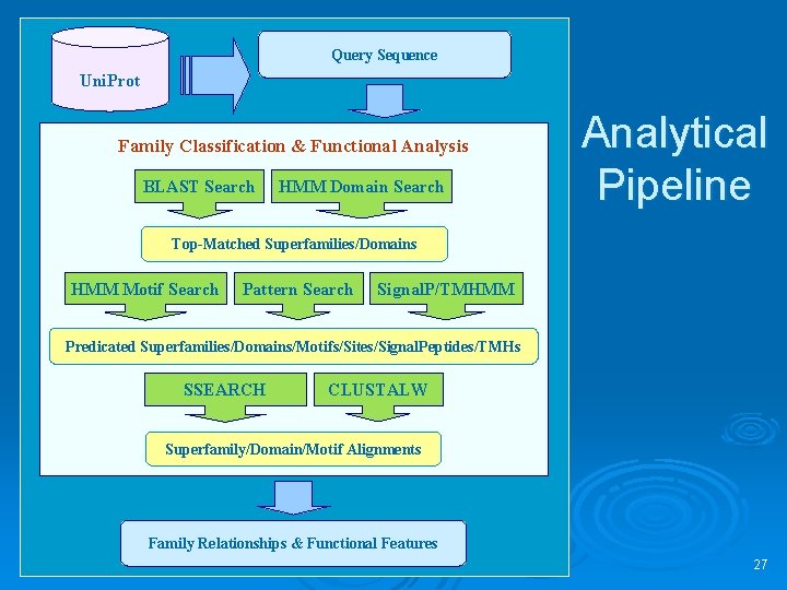 Query Sequence Uni. Prot Family Classification & Functional Analysis BLAST Search HMM Domain Search