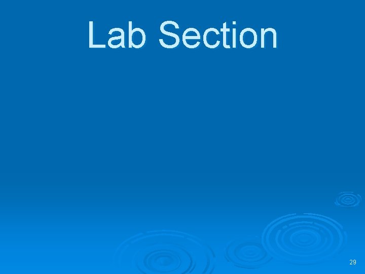 Lab Section 29 