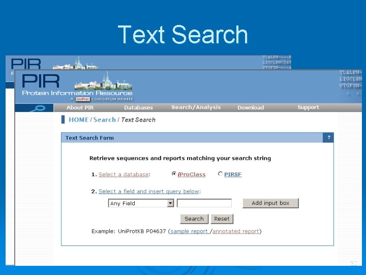 Text Search 30 