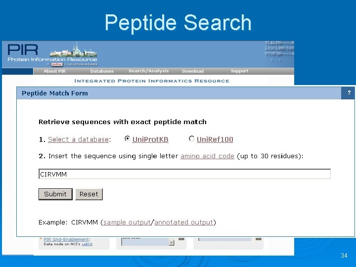 Peptide Search 34 