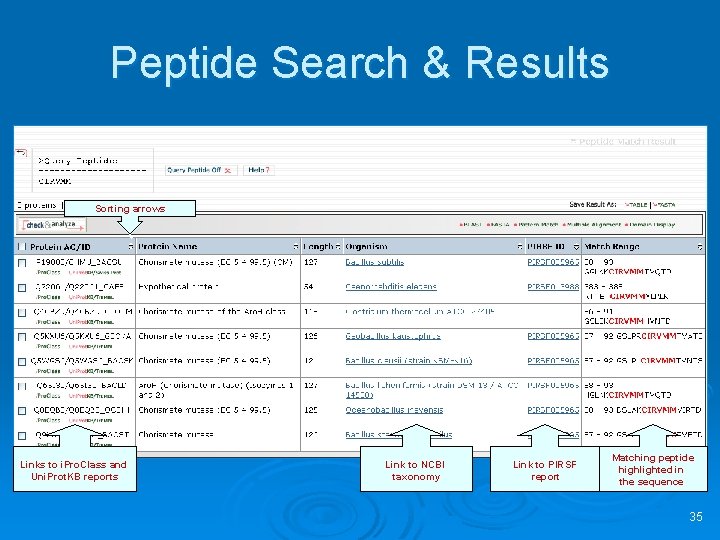 Peptide Search & Results Sorting arrows Links to i. Pro. Class and Uni. Prot.