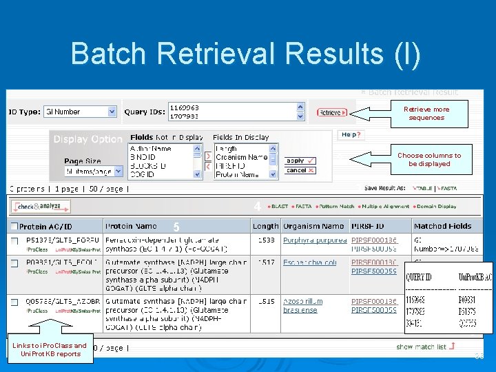 Batch Retrieval Results (I) 1 Retrieve more sequences Choose columns to be displayed 2