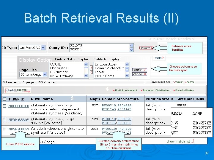 Batch Retrieval Results (II) Retrieve more families 1 2 Choose columns to be displayed