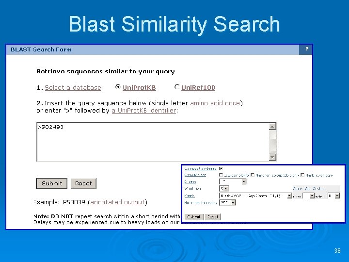 Blast Similarity Search 38 