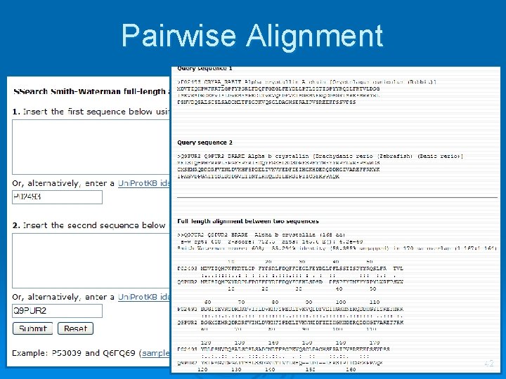 Pairwise Alignment 42 