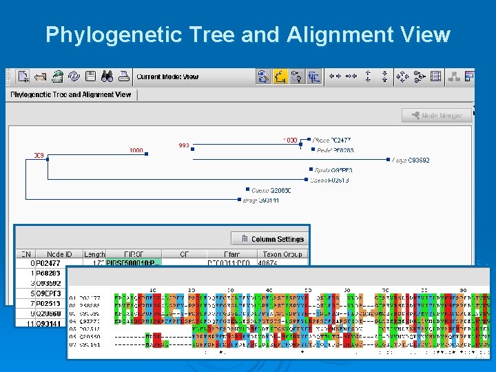 Phylogenetic Tree and Alignment View 44 