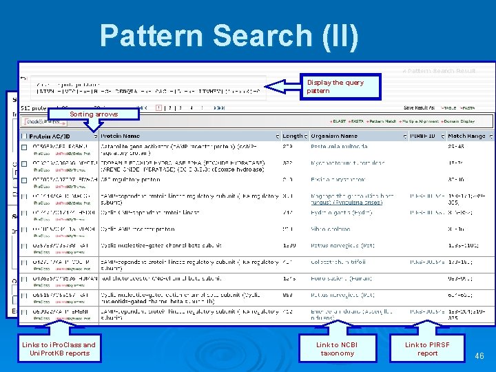 Pattern Search (II) Display the query pattern Sorting arrows Links to i. Pro. Class