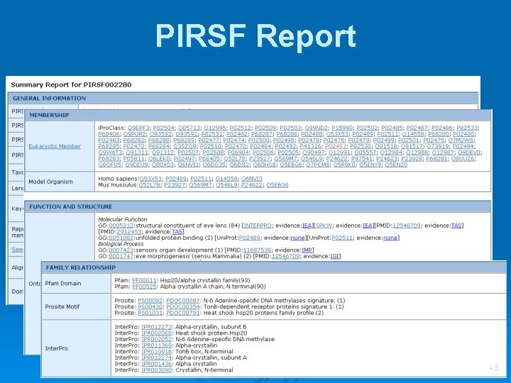 PIRSF Report 48 