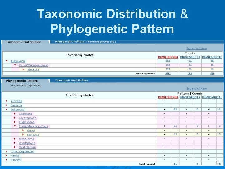 Taxonomic Distribution & Phylogenetic Pattern 50 