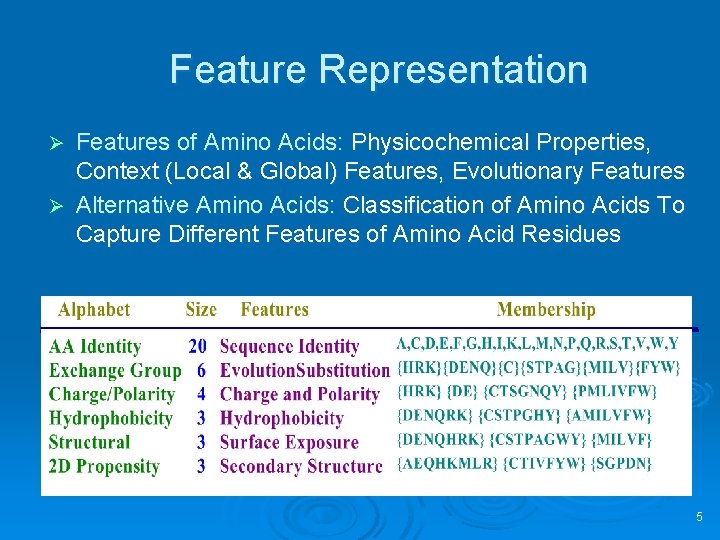 Feature Representation Features of Amino Acids: Physicochemical Properties, Context (Local & Global) Features, Evolutionary
