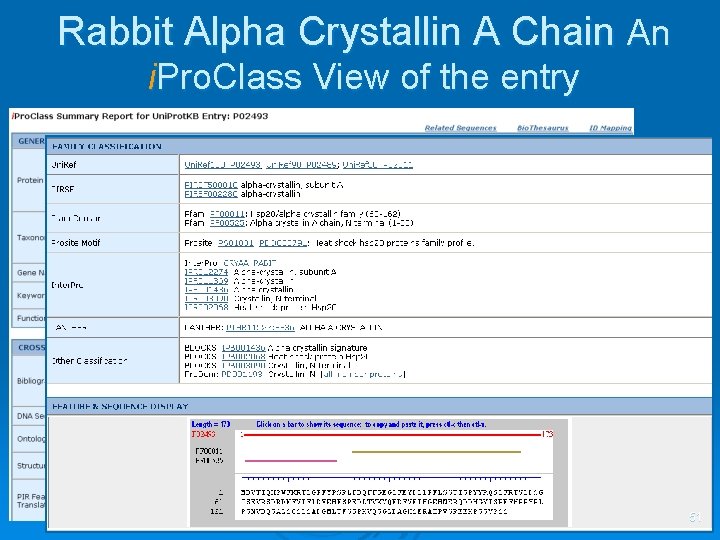 Rabbit Alpha Crystallin A Chain An i. Pro. Class View of the entry Pre-computed