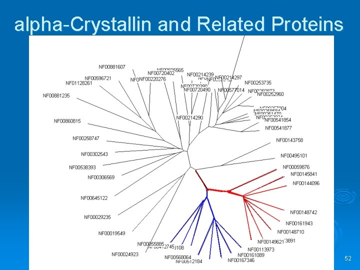 alpha-Crystallin and Related Proteins 52 