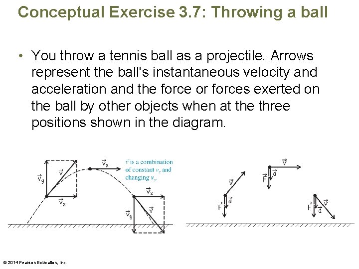 Conceptual Exercise 3. 7: Throwing a ball • You throw a tennis ball as
