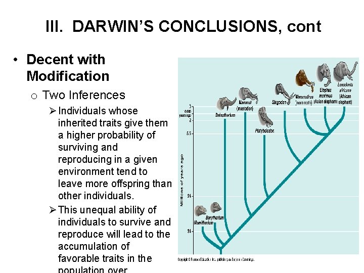 III. DARWIN’S CONCLUSIONS, cont • Decent with Modification o Two Inferences Ø Individuals whose