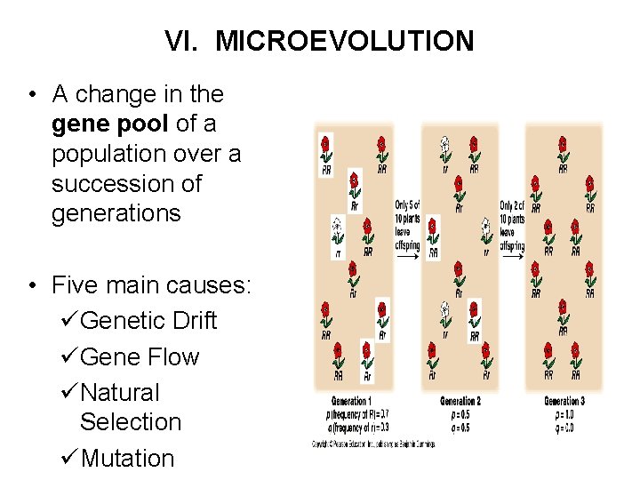 VI. MICROEVOLUTION • A change in the gene pool of a population over a