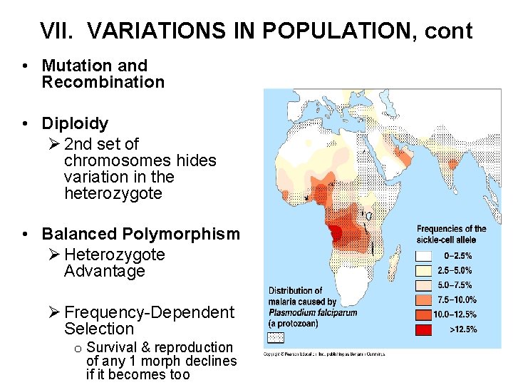 VII. VARIATIONS IN POPULATION, cont • Mutation and Recombination • Diploidy Ø 2 nd