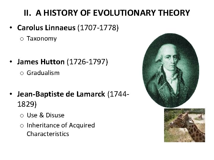 II. A HISTORY OF EVOLUTIONARY THEORY • Carolus Linnaeus (1707 -1778) o Taxonomy •