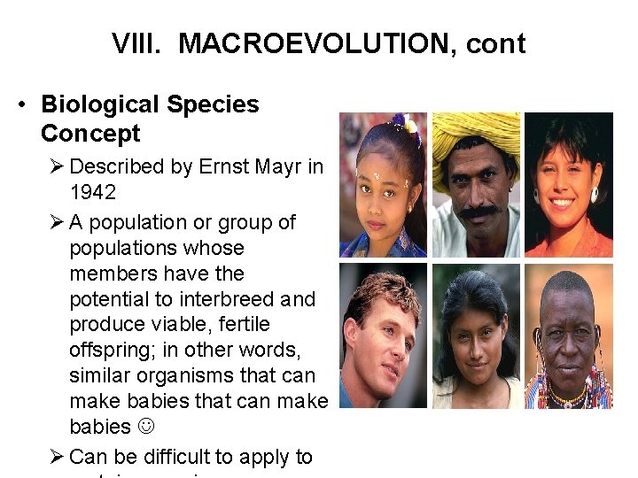 VIII. MACROEVOLUTION, cont • Biological Species Concept Ø Described by Ernst Mayr in 1942