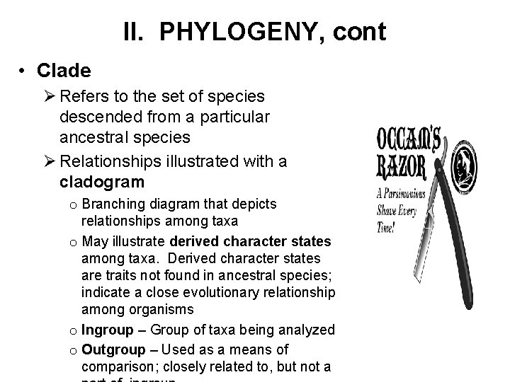 II. PHYLOGENY, cont • Clade Ø Refers to the set of species descended from