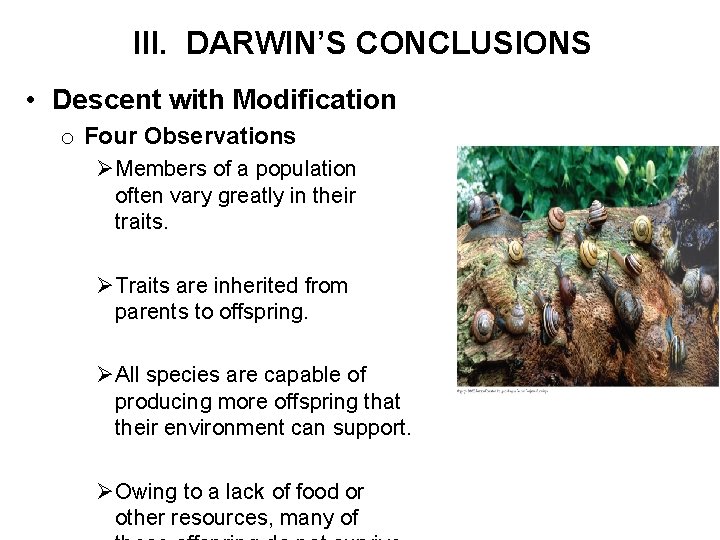 III. DARWIN’S CONCLUSIONS • Descent with Modification o Four Observations ØMembers of a population