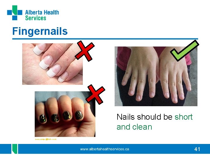 Fingernails Nails should be short and clean borispumps@flickr. com 41 