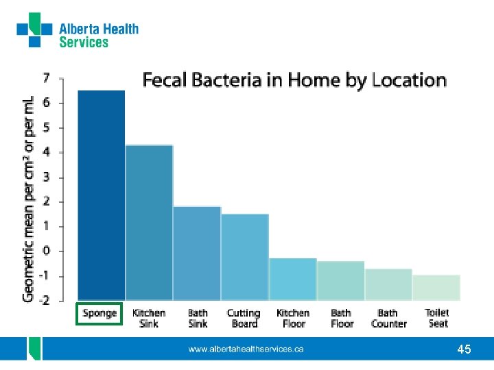 Contamination in the home 45 