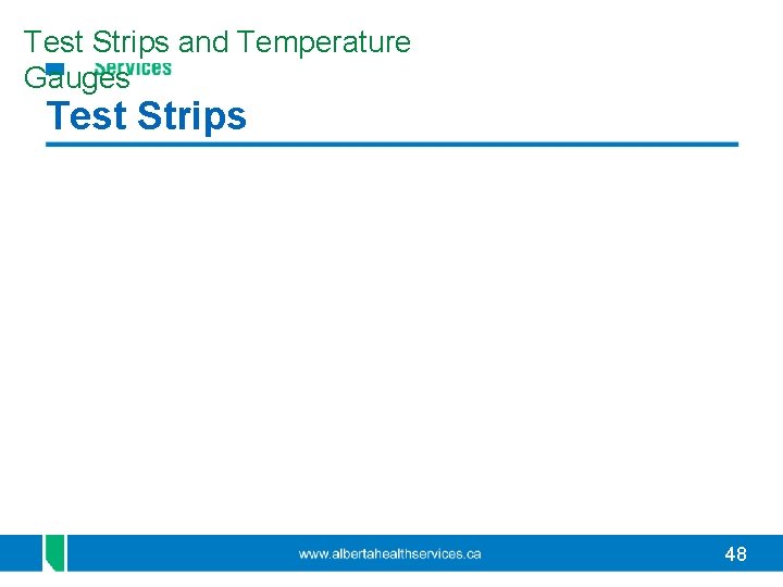 Test Strips and Temperature Gauges Test Strips 48 