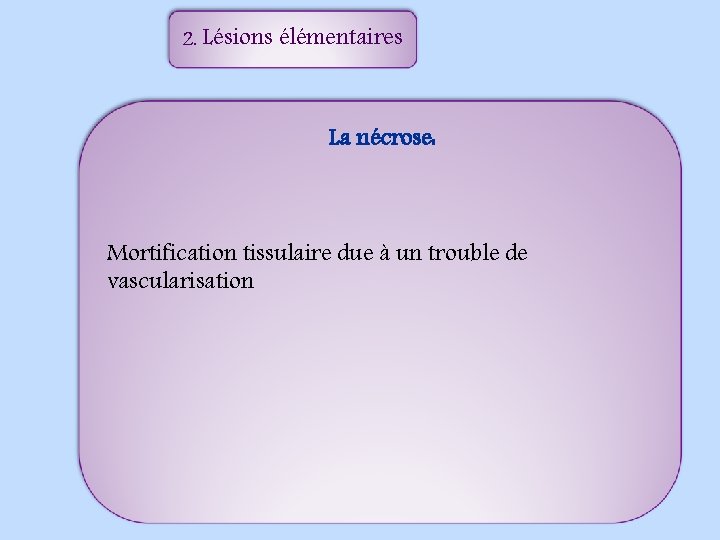 2. Lésions élémentaires La nécrose: Mortification tissulaire due à un trouble de vascularisation 