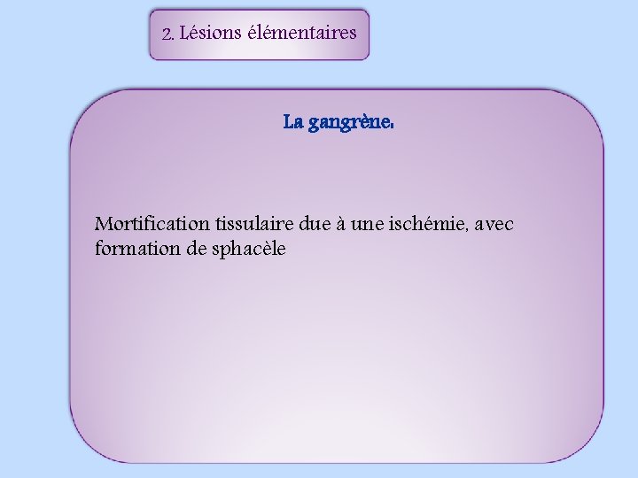 2. Lésions élémentaires La gangrène: Mortification tissulaire due à une ischémie, avec formation de