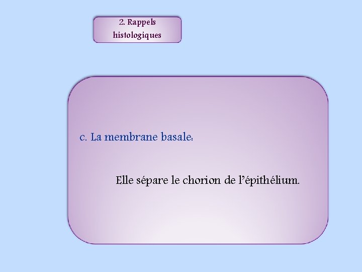 2. Rappels histologiques c. La membrane basale: Elle sépare le chorion de l’épithélium. 