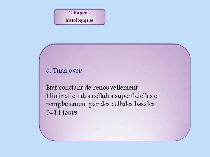 2. Rappels histologiques d. Turn over: État constant de renouvellement Élimination des cellules superficielles