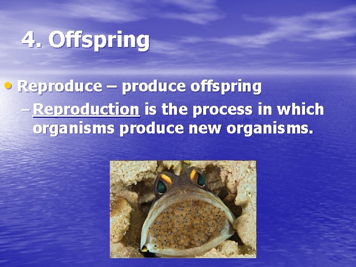 4. Offspring • Reproduce – produce offspring – Reproduction is the process in which