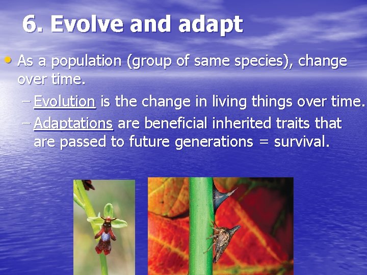 6. Evolve and adapt • As a population (group of same species), change over