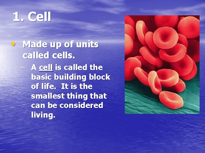 1. Cell • Made up of units called cells. – A cell is called