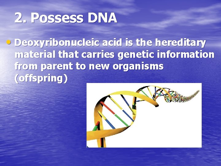2. Possess DNA • Deoxyribonucleic acid is the hereditary material that carries genetic information